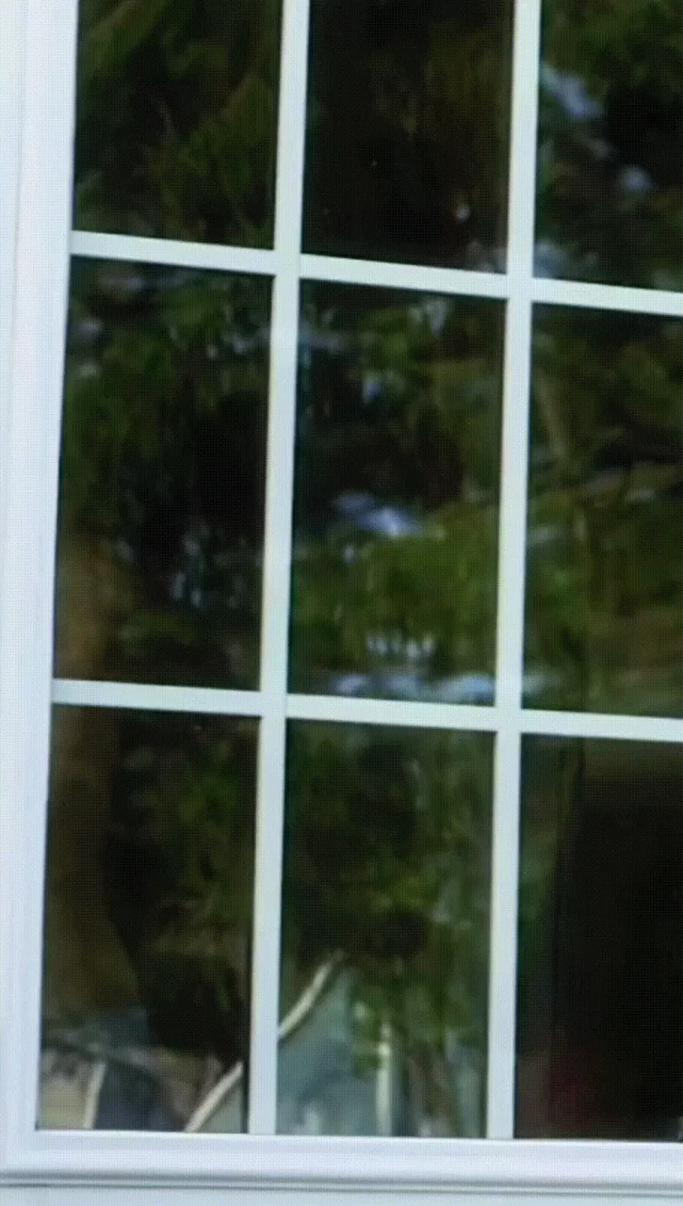 Elizabeth Masucci: Rack of Ages - Pure Art Perfection