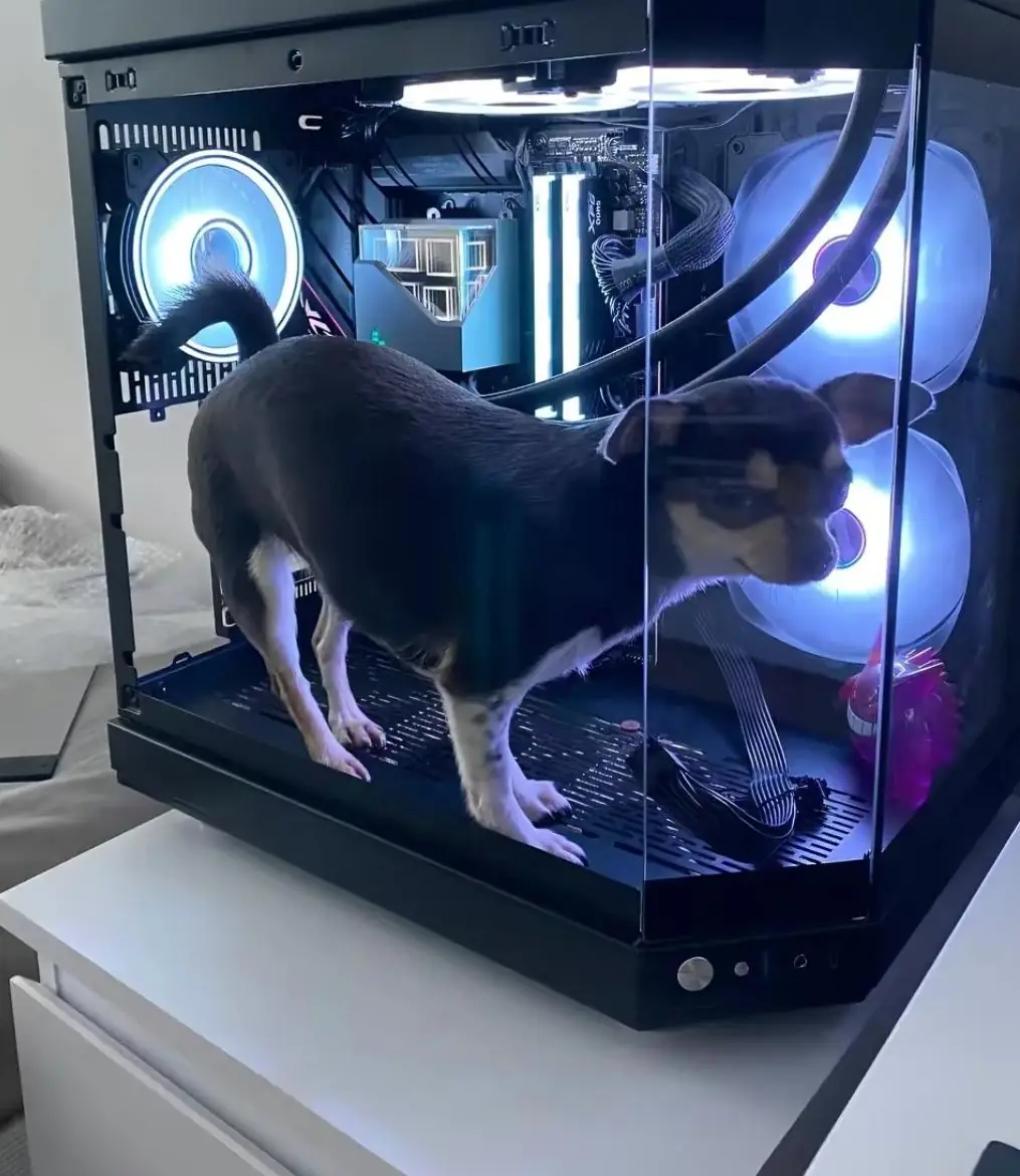 My sexy new build features a massive sub woofer that loves to get petted