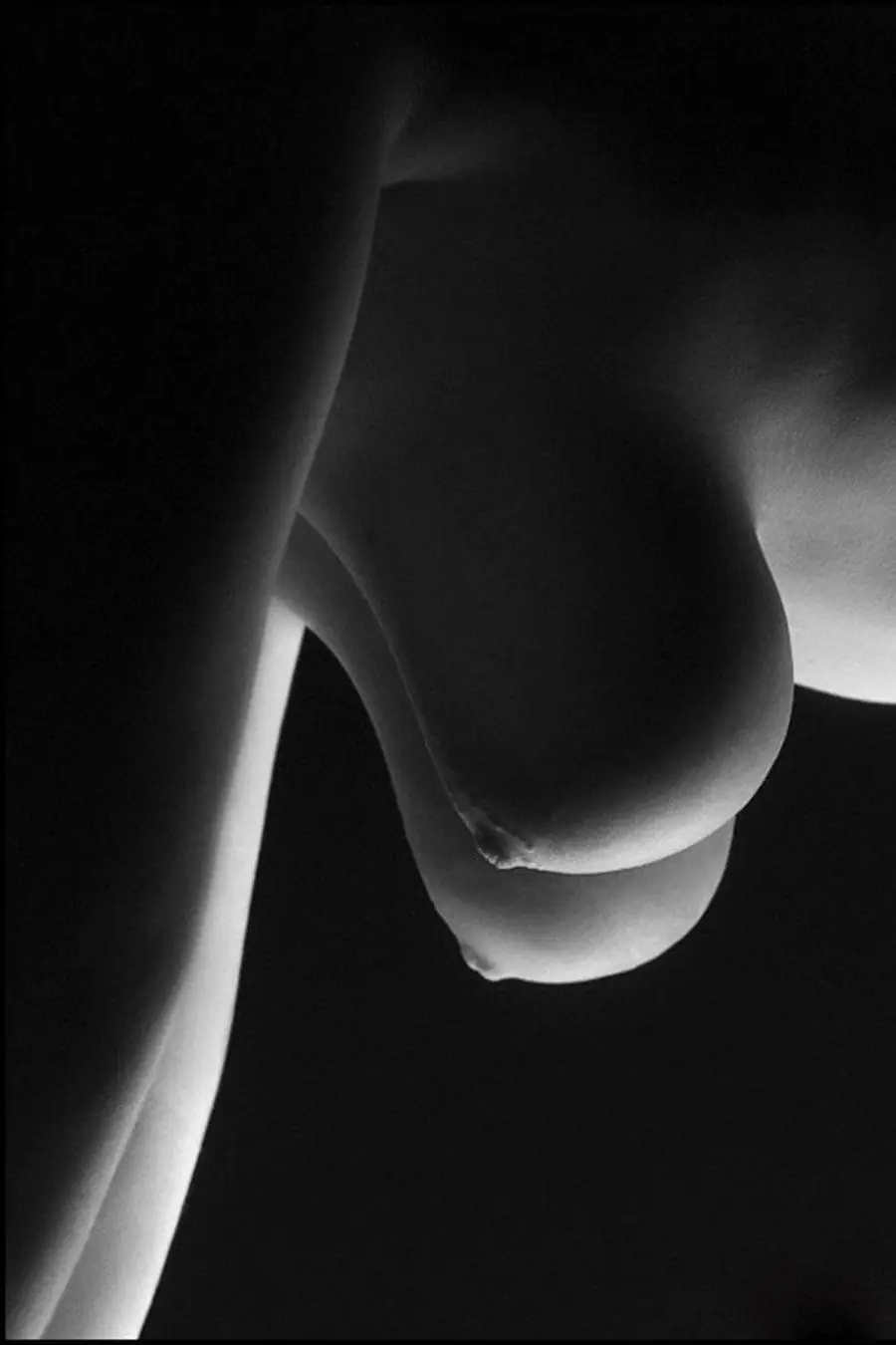 Gravity-Defying Perfection: These Retrousse Tits are a Work of Art!